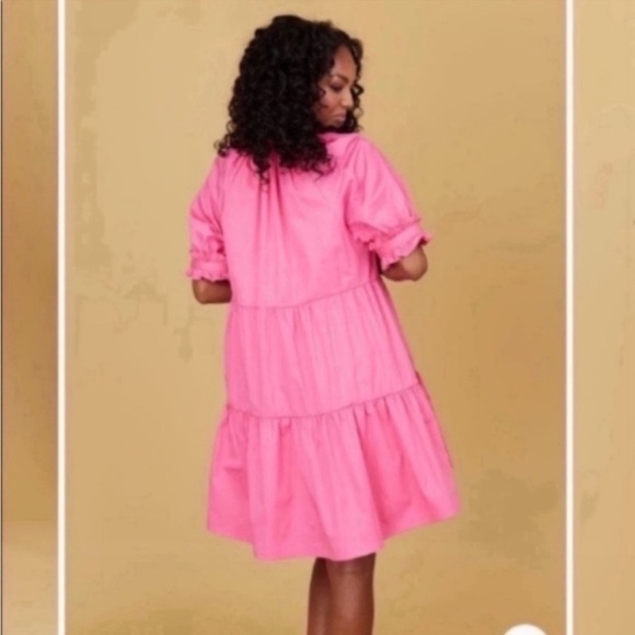 ✅ NWT Crosby by Mollie Burch Dress Isabelle Tiered Mini in Lotus Petal Pink - Picture 2 of 7